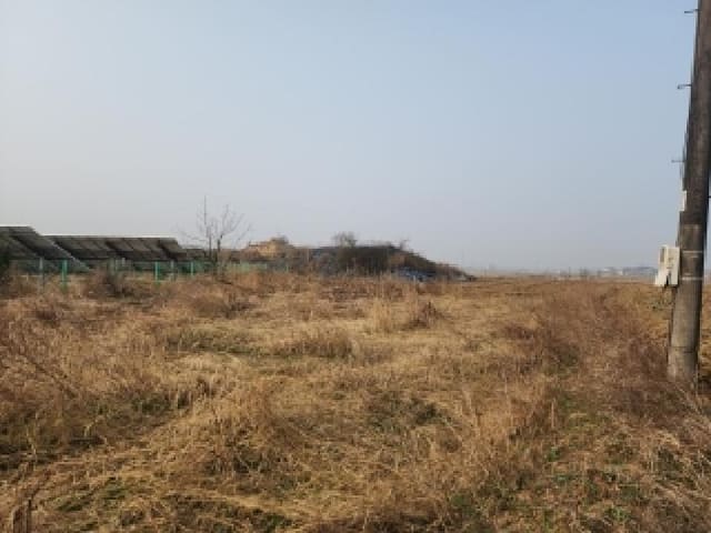 B000520202601300302781.jpg