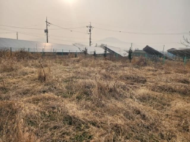 B000520202601300302783.jpg