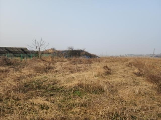 B000520202601300302782.jpg