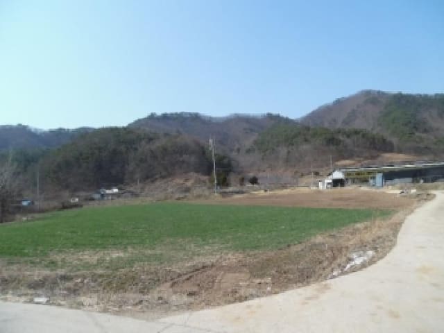 B000520202601300302823.jpg