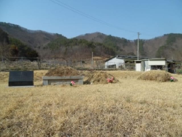 B000520202601300302824.jpg