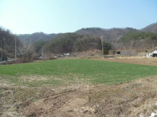 B000520202601300302822.jpg