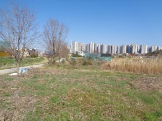 B000520202601300302851.jpg