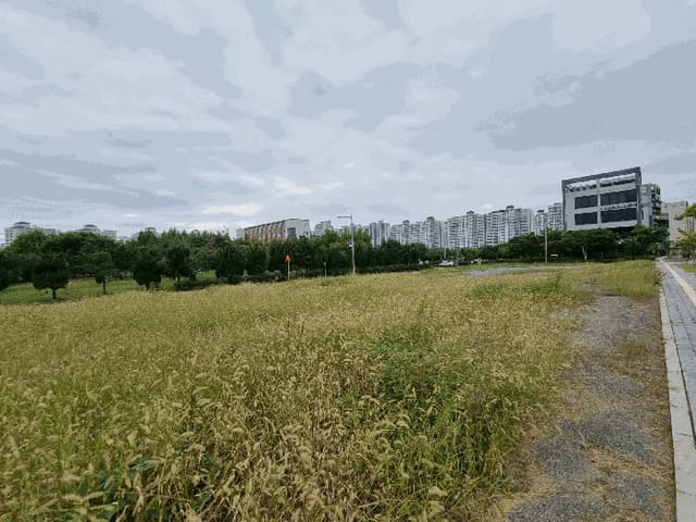B000521202501300005494.jpg