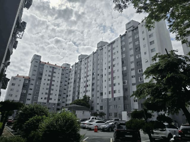 B000521202501300208353.jpg