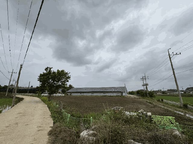 B000521202501300209837.jpg