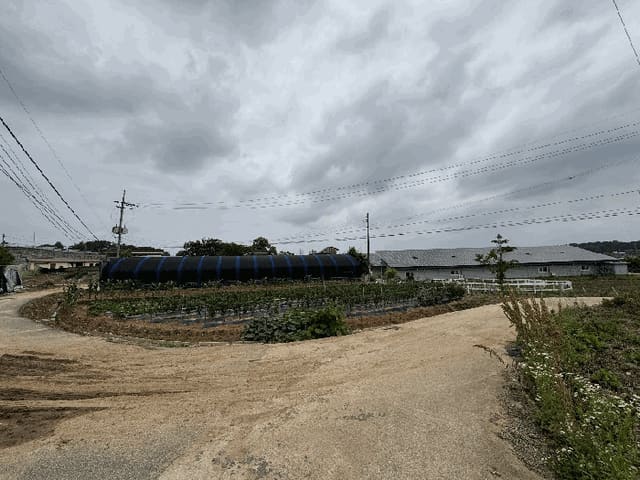B000521202501300209836.jpg
