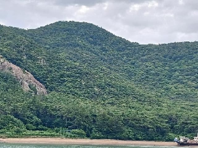 B000521202501300210971.jpg