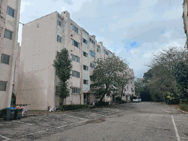 B000521202501300214143.jpg