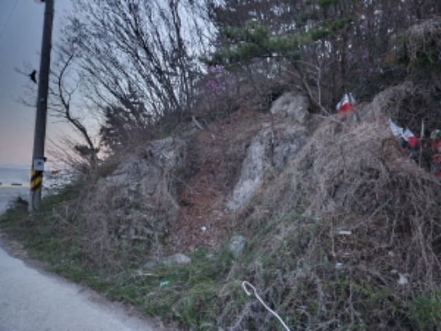 B000522202301300025352.jpg