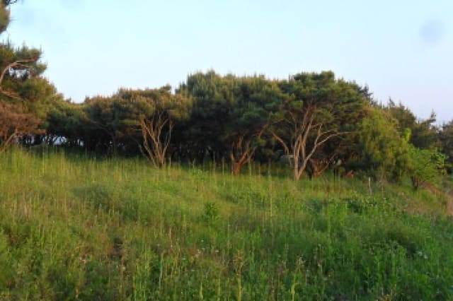 B0005222025013000020116.jpg