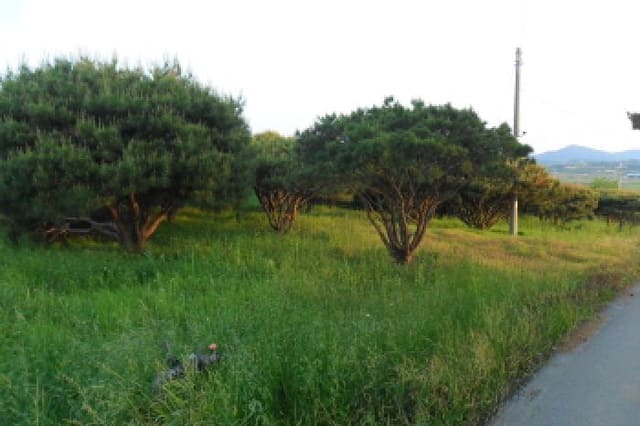 B0005222025013000020114.jpg