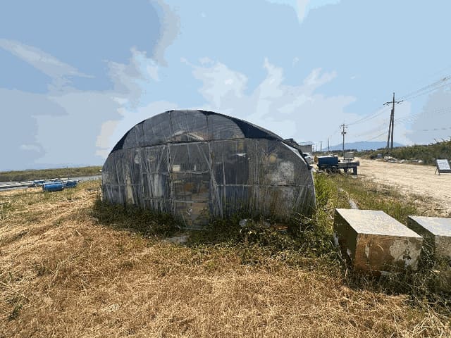 B0005222025013000025516.jpg