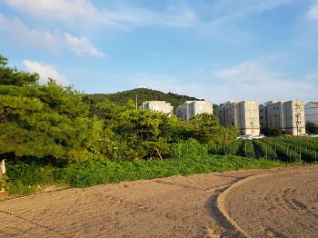 B000522202501300002934.jpg
