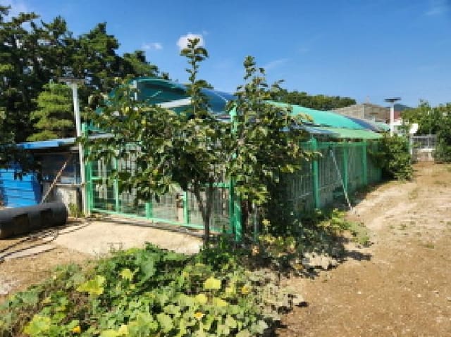 B000522202501300003161.jpg