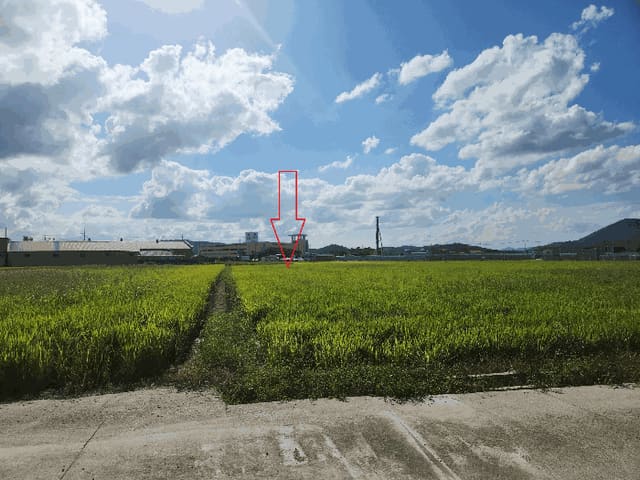 B000522202501300003274.jpg