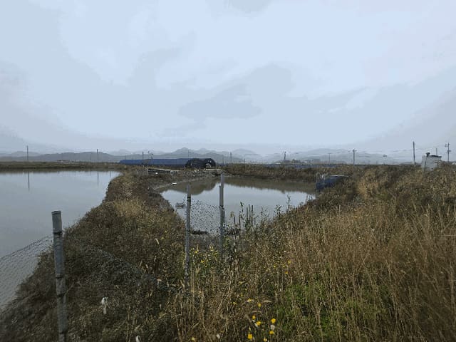 B0005222025013000034924.jpg