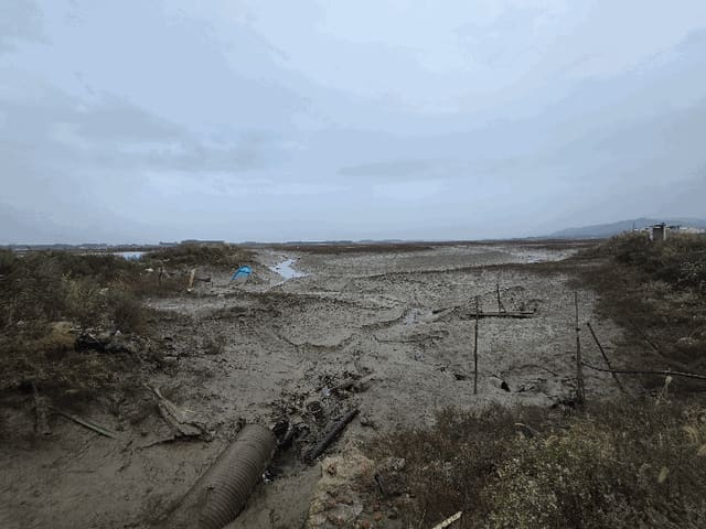 B0005222025013000034925.jpg