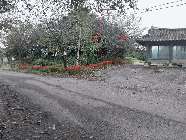B0005222025013000035516.jpg