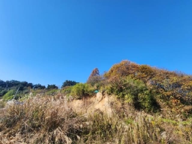 B000522202501300003562.jpg