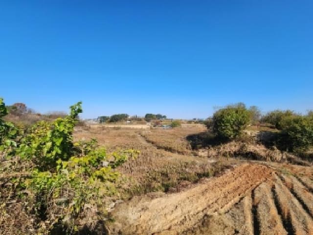 B000522202501300003564.jpg