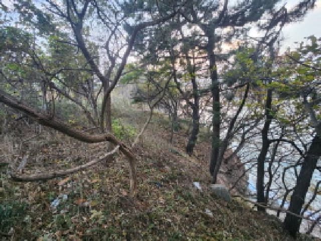 B000522202501300003611.jpg