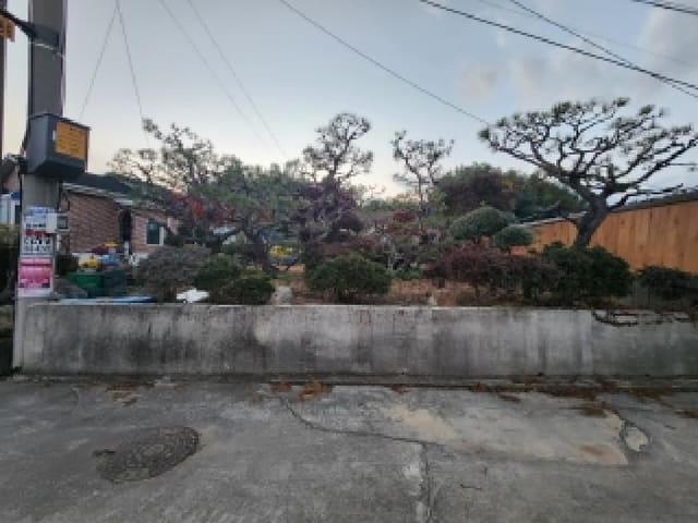 B000522202501300003681.jpg