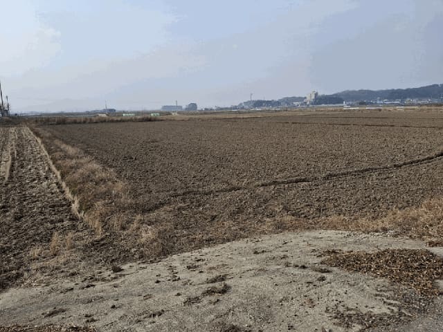 B000522202501300003884.jpg
