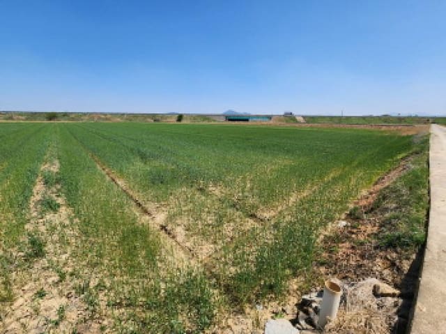 B000522202501300301872.jpg