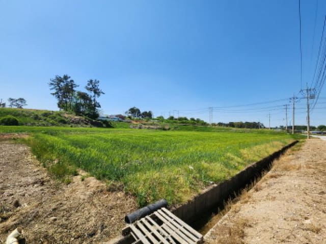 B000522202501300301871.jpg