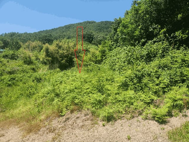 B0005222025013003026430.jpg