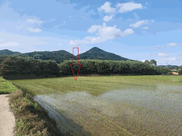 B000522202501300302912.jpg