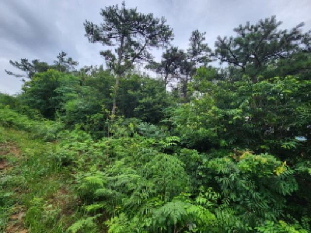 B000522202501300302972.jpg