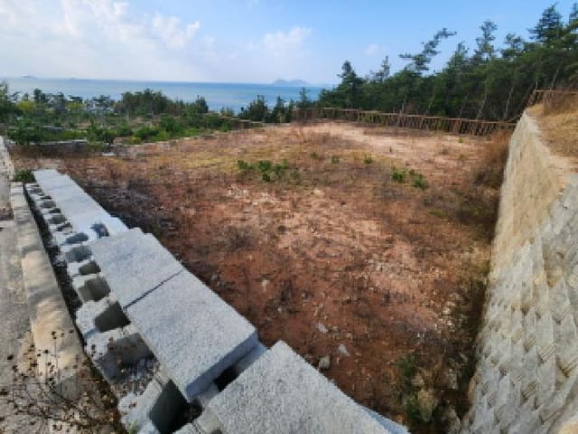 B000522202501300304061.jpg