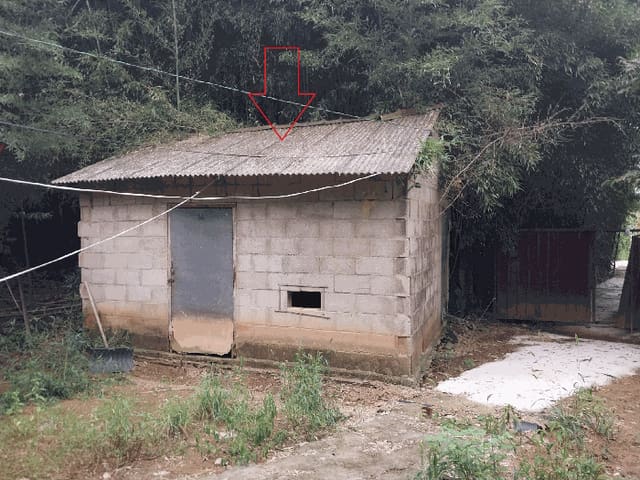 B000522202501300304129.jpg