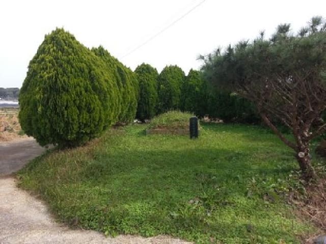 B000522202501300304154.jpg