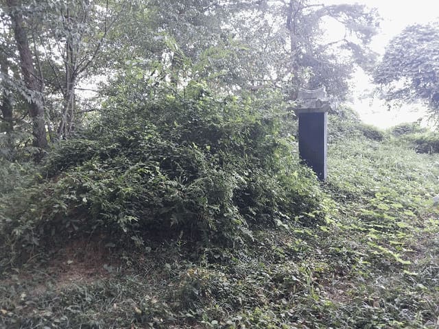 B0005222025013003041919.jpg