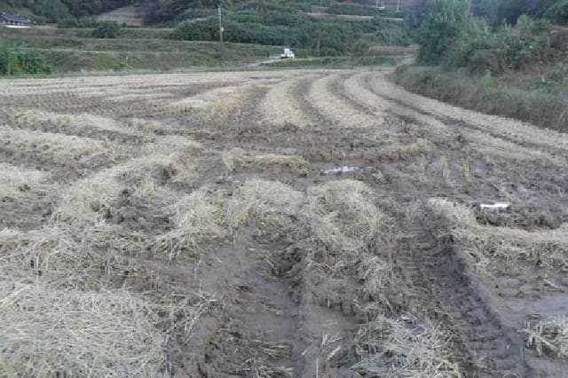 B000522202501300304451.jpg