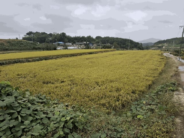 B000522202501300304452.jpg
