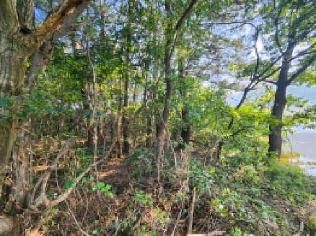 B000522202501300304483.jpg