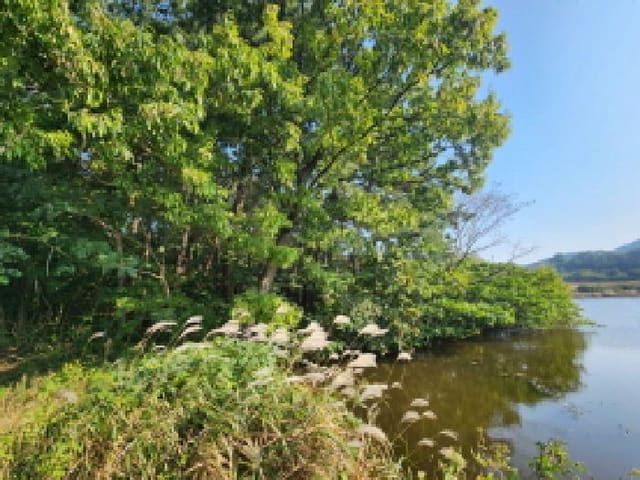 B000522202501300304481.jpg