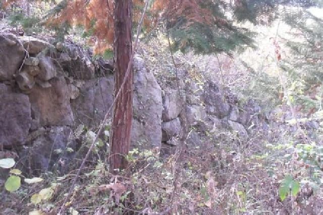 B000522202501300304781.jpg