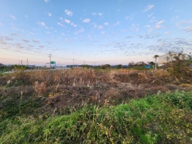 B000522202501300304791.jpg