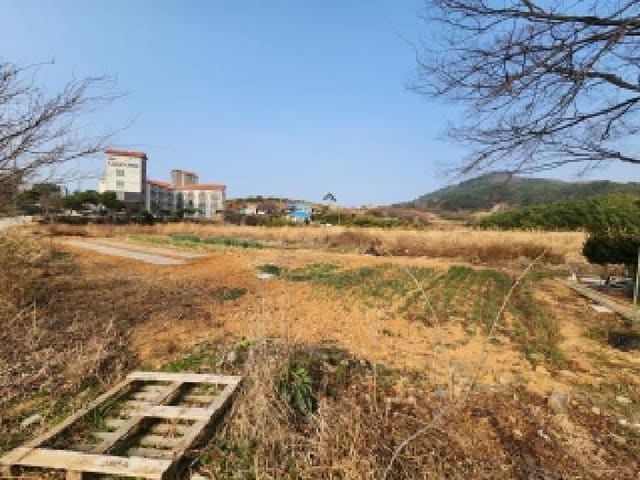 B000522202501300305013.jpg