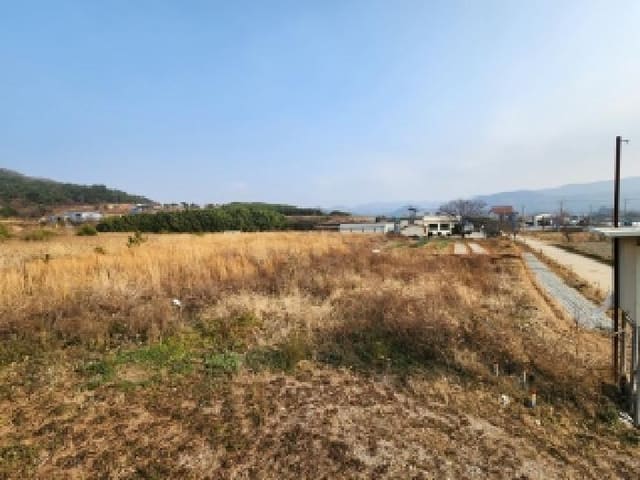 B000522202501300305011.jpg