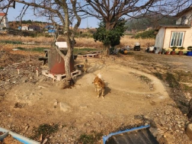 B000522202501300305014.jpg