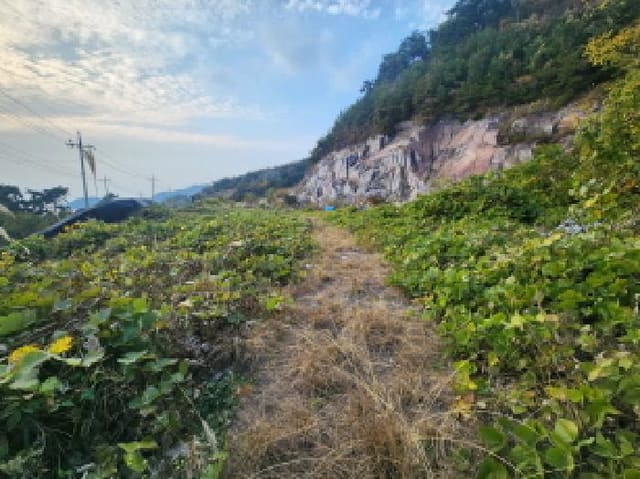 B000522202501300305041.jpg