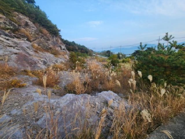B000522202501300305042.jpg