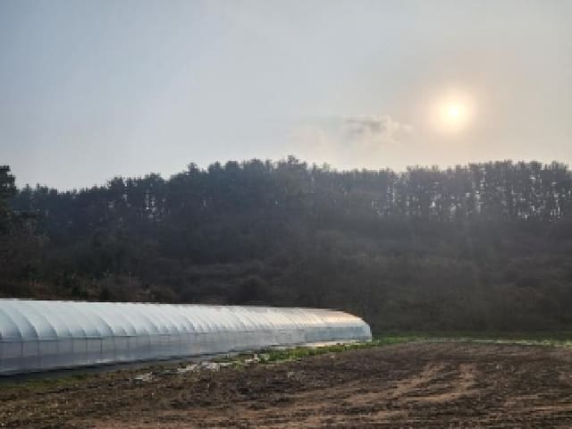 B000522202501300305243.jpg