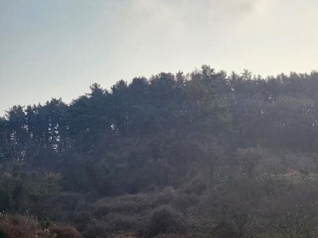 B000522202501300305244.jpg